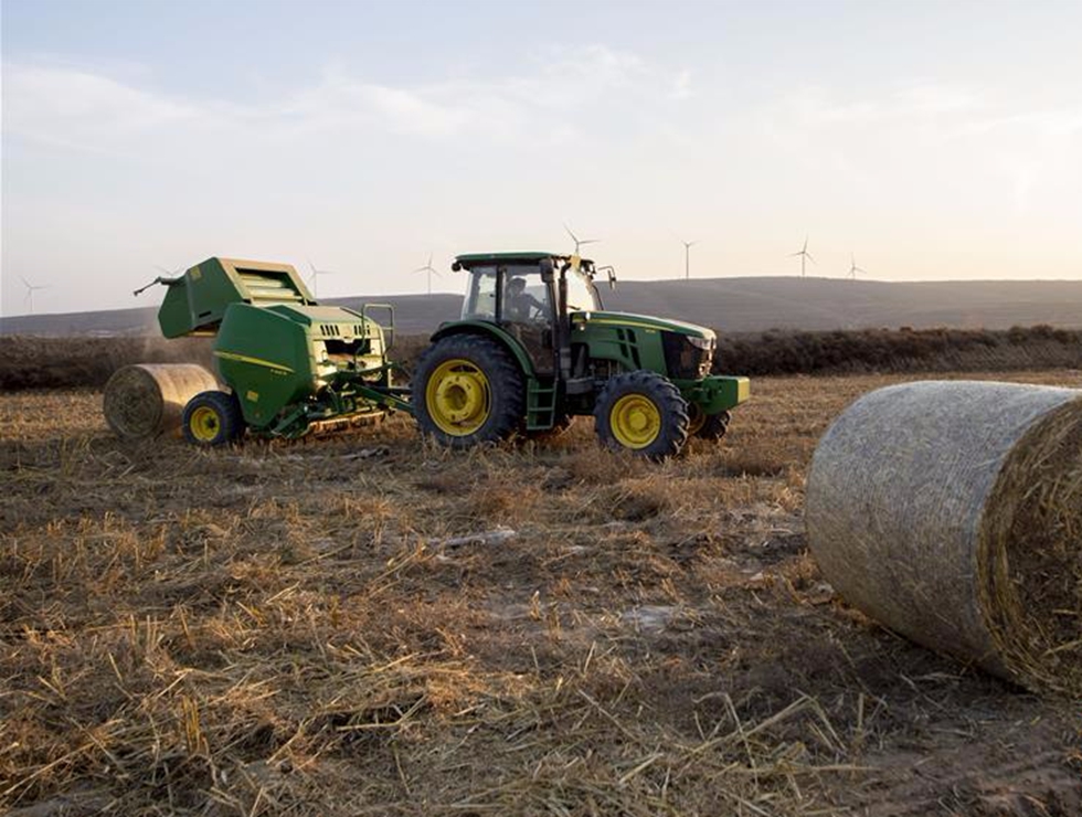 科學種植谷飄香