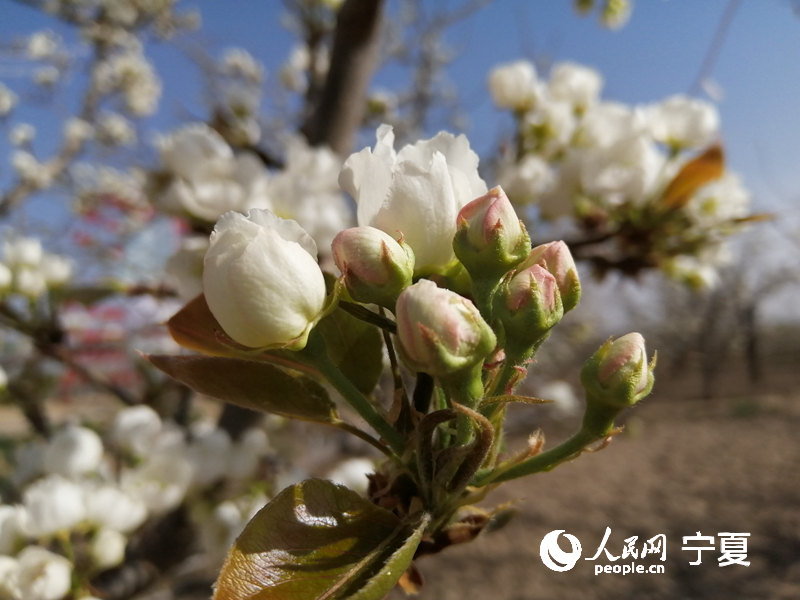 滨ʢ_ ĺԭ㡰pԭhίD