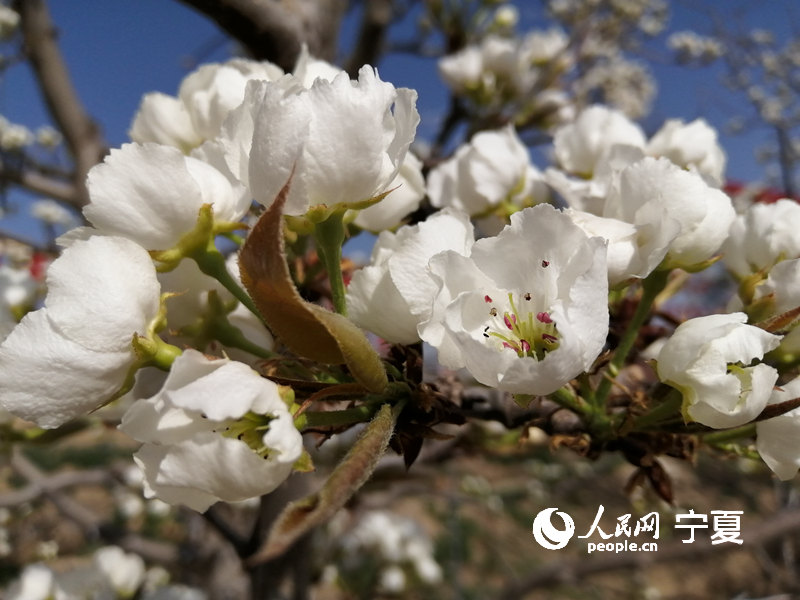 滨ʢ_ ĺԭ㡰pԭhίD