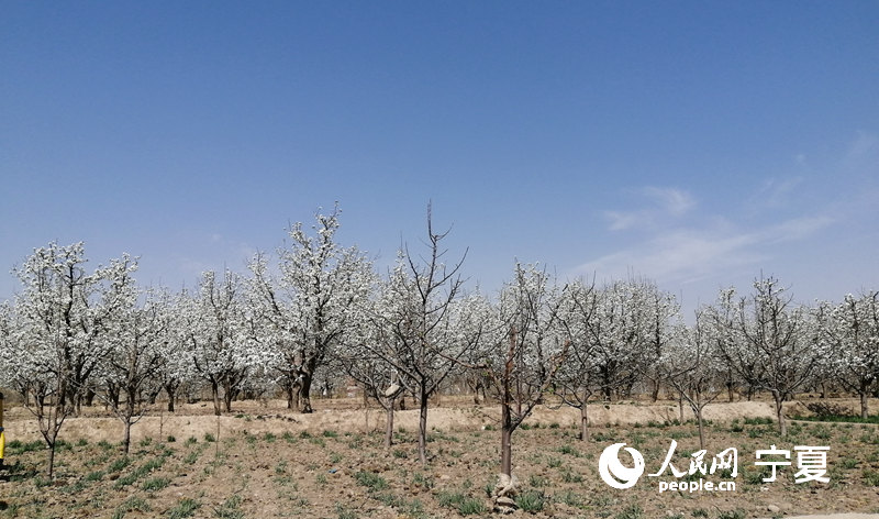 滨ʢ_ ĺԭ㡰pԭhίD