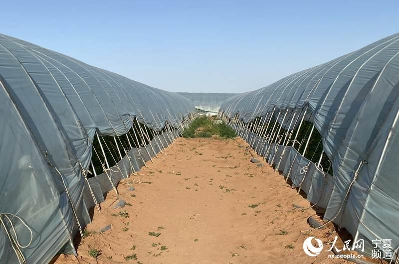 }ؿh؈^弯wlչСXΔz