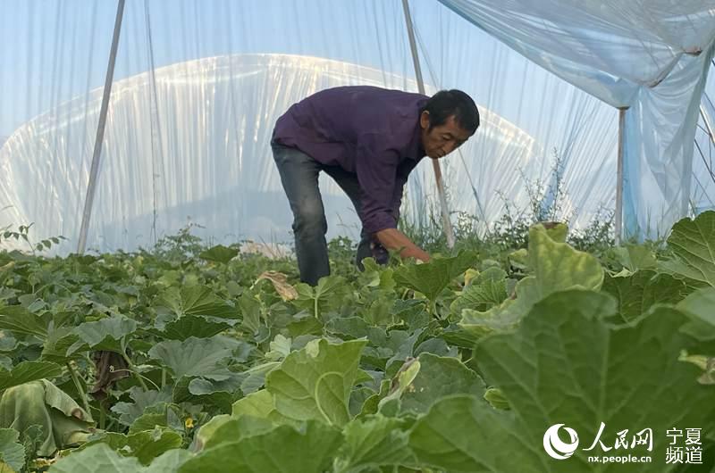 }ؿh؈^弯wlչСXΔz