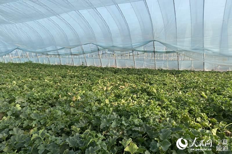 }ؿh؈^弯wlչСXΔz