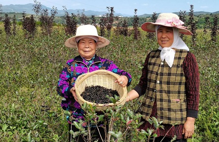 ěԴڹ鱣YIBڹ Ҳ¸ԴheOMĂһɽGcpAĿֲݮaIlչcÓؚYЮȻllչڹ鱷NֲaIԔ 