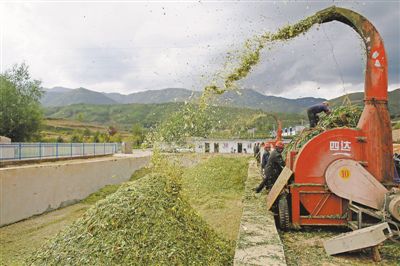 ĹԭЛԴhSմTh LͬĮP^ɽxgGⰻȻěԴȾɫlgС·ƵLp՚ЏSյĚϢ׌֮ζoFԔ 