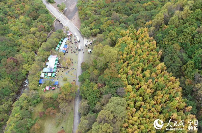 MDpPﾰ ֱMȾɫߔƲPɽɭֹ@ˮľȾS庮һz˵ůԔ 