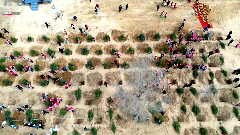 ĺԭh2021ꌢɠI11.6f4