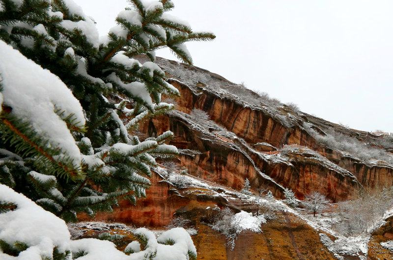 ڻʯկҵ|ɭ֣@tĵϼòͰѩRĺz