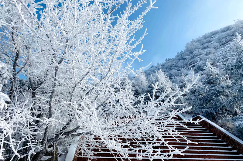 ѩwĻʯկҵ|ɭ֣@ybع_z