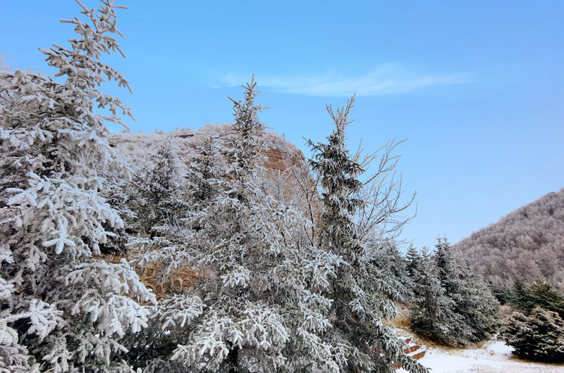 ѩwĻʯկҵ|ɭ֣@ybع_z