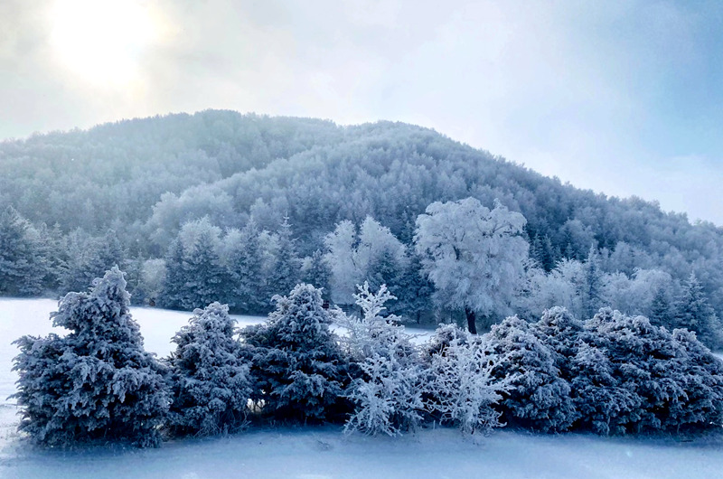 ѩwĻʯկҵ|ɭ֣@ybع_z