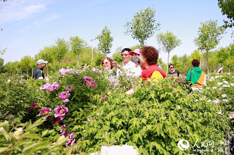 ʢ_ĵοǰW ߼εz