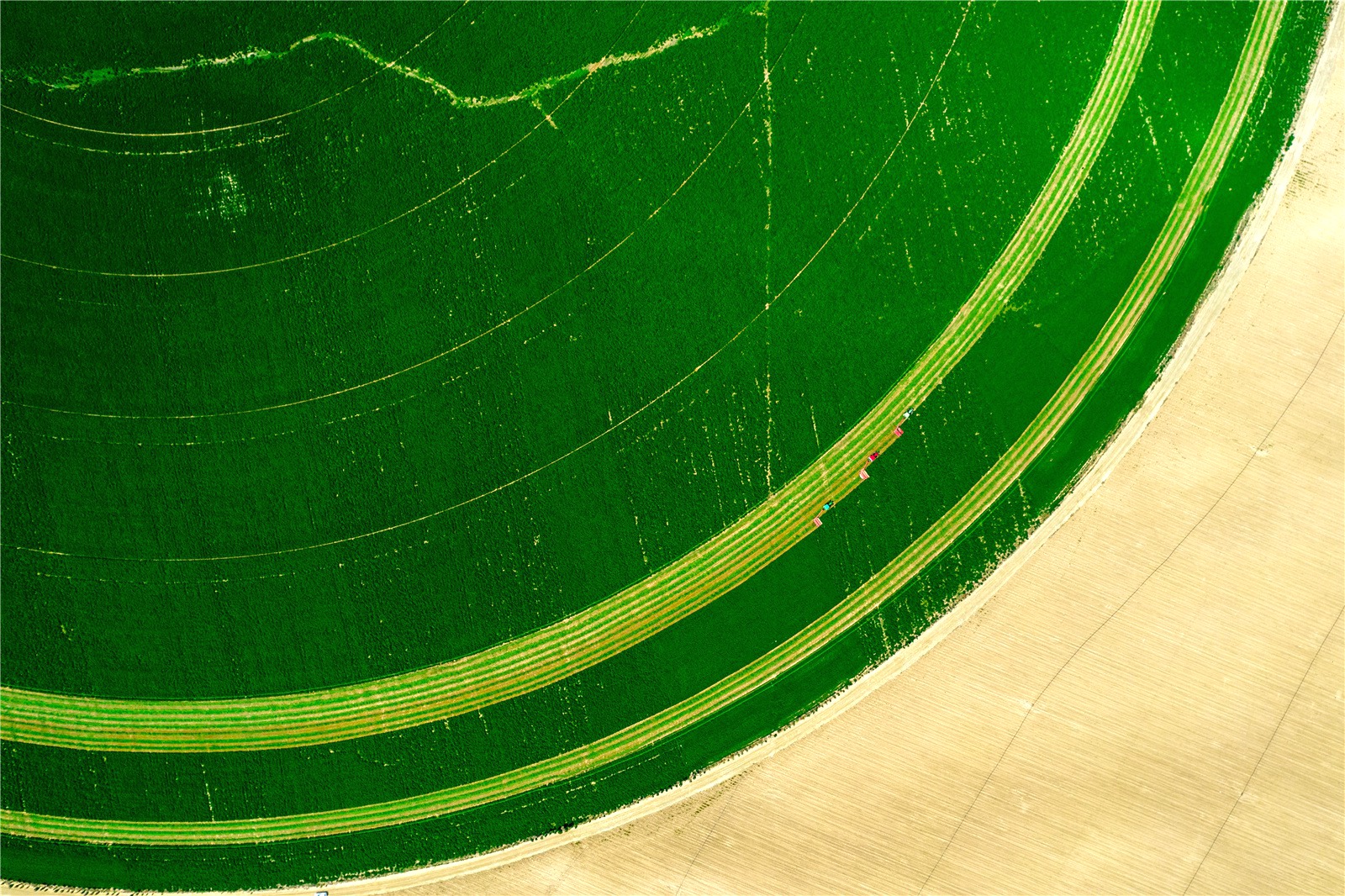 2000ϻޣMո_ոCMո孝z