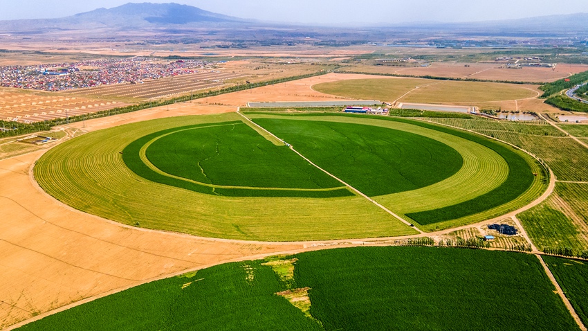 ļt±^2000ϻޣMո_ոCMոnz