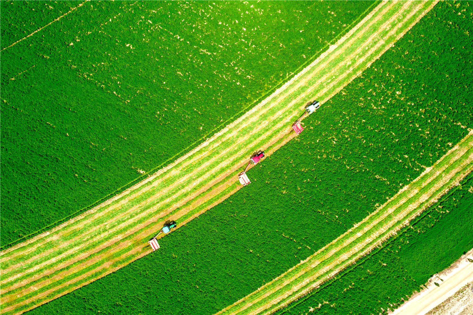 2000ϻޣMո_ոCMո孝z