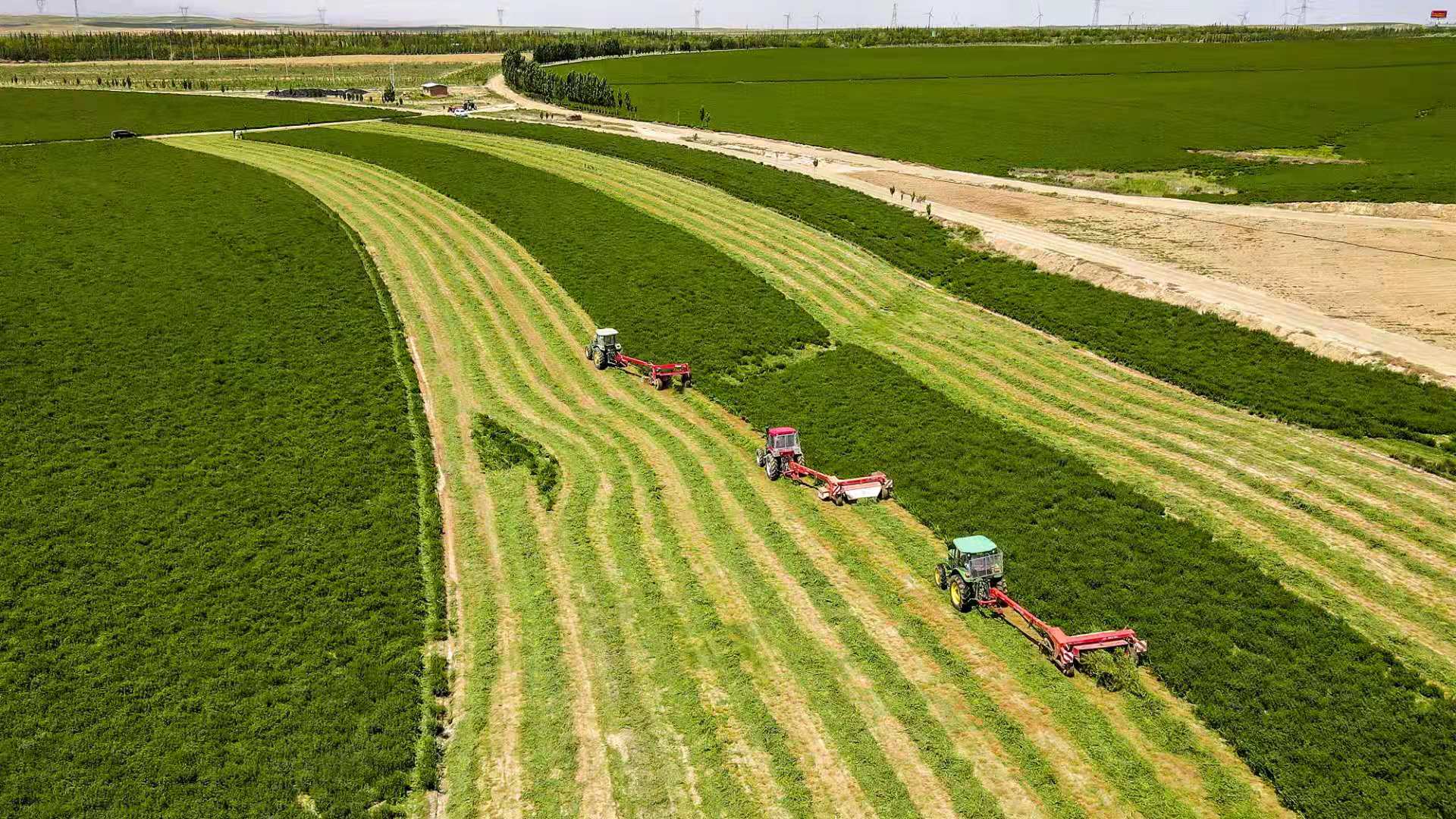 ļt±^2000ϻޣMո_ոCMոnz