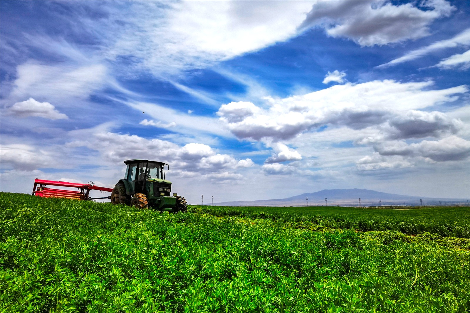 ļt±^2000ϻޣMոһ_ոCMո孝z