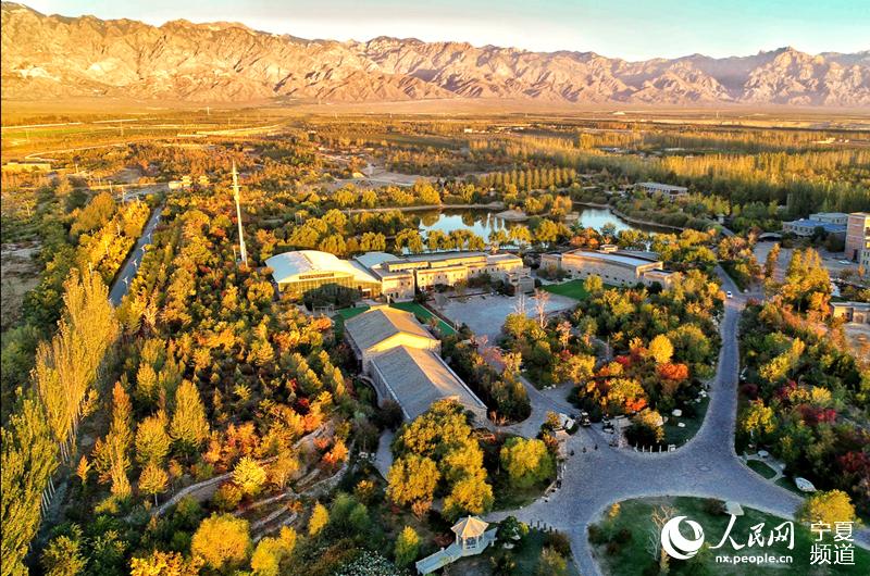 yRmɽ\ӹ@־xԴʯfwPz