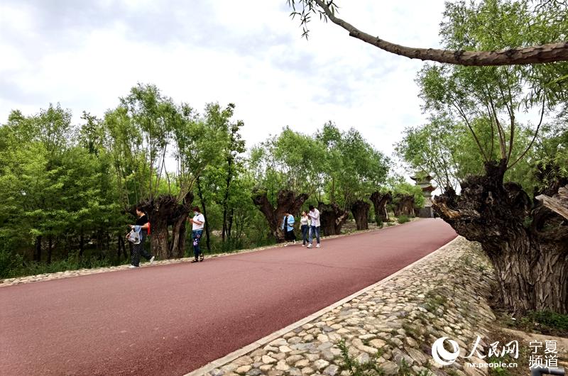 yRmɽ\e@ɢW ߼εz