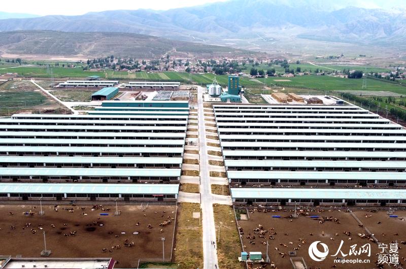 Fţᣨo˙CƬW ߼εz