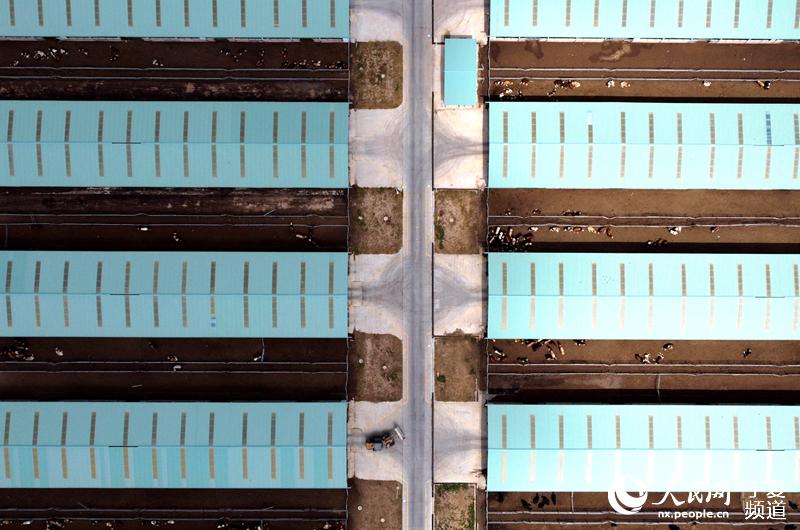 Fţᣨo˙CƬW ߼εz