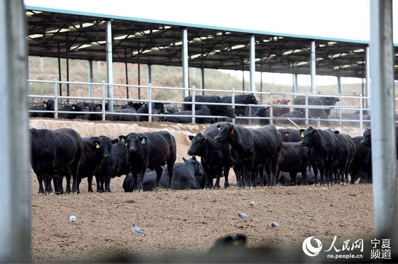 ţеİ˹ţW ߼εz