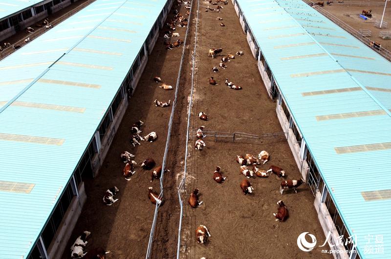 Fţᣨo˙CƬW ߼εz