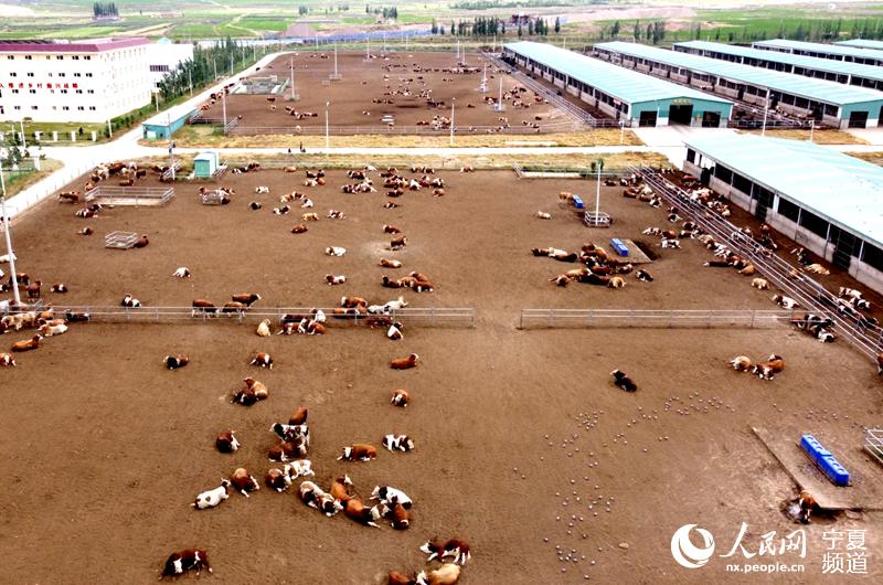 Fţᣨo˙CƬW ߼εz