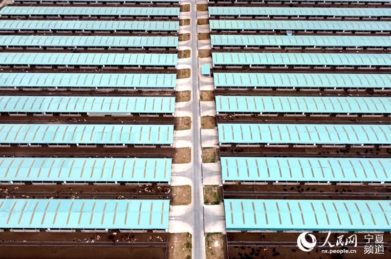 Fţһ_o˙CƬW ߼εz