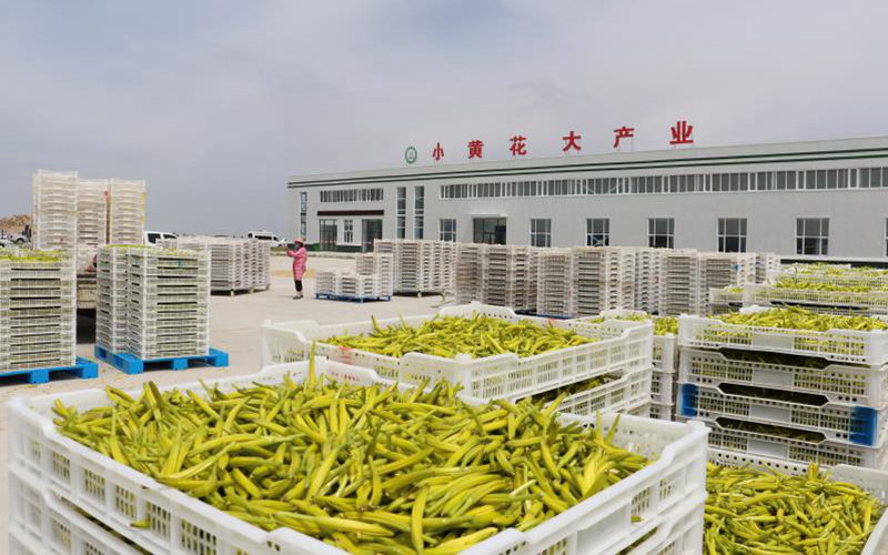 СSaI}ؿhίD