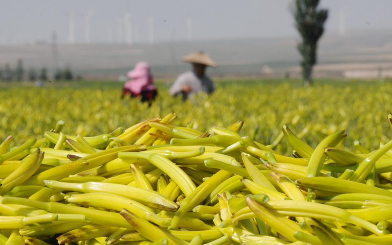 }ؿhSM}ؿhίD