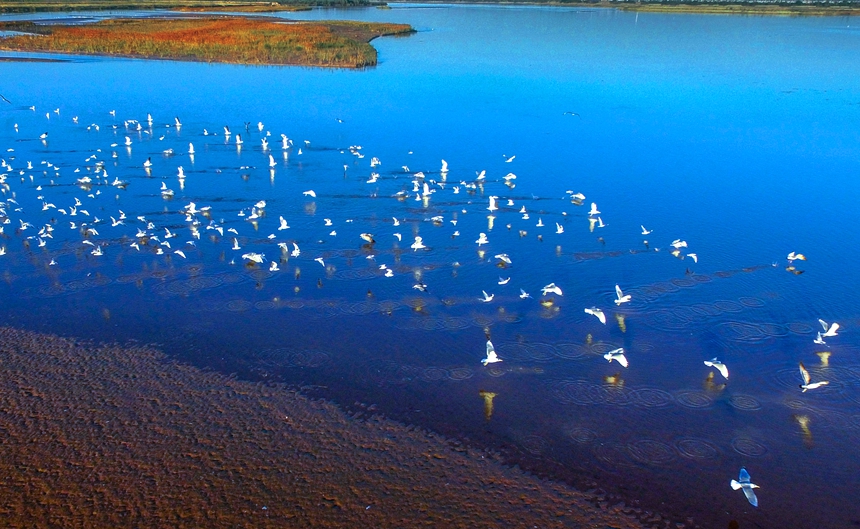 SӝBļ҈@ղz