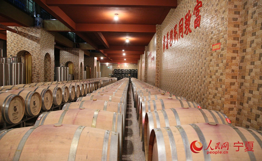 ƽуRеᄾͲW w╔z