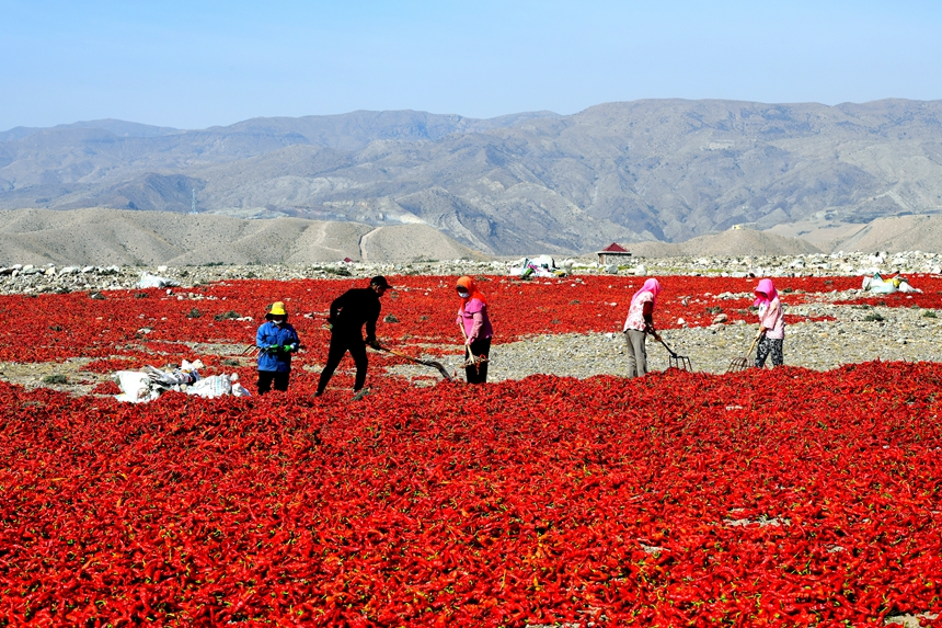 rϳƬĘ¶Sյϲz