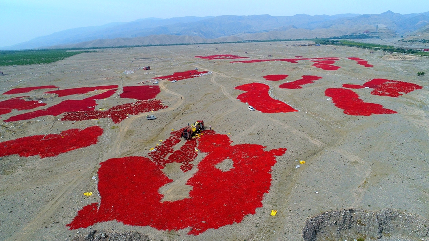 rSյļtժRmɽµġȻڕz