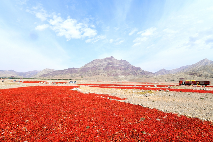 rSյļtժRmɽµġȻڕz