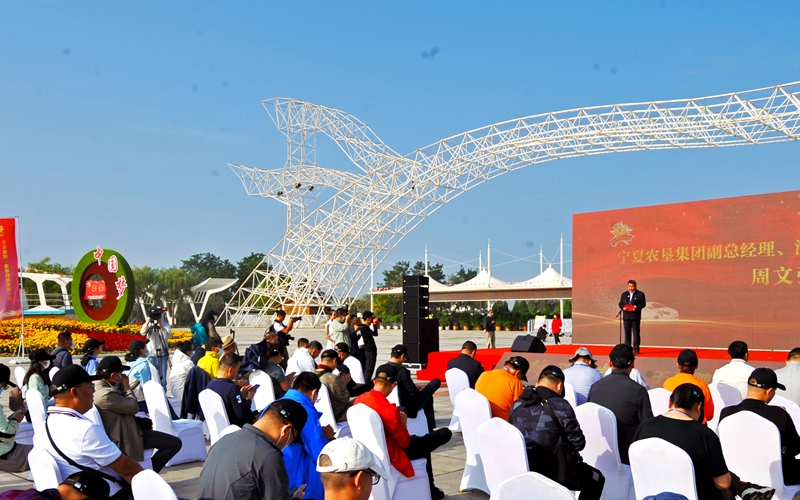 ӃxʽFW 鐉演z