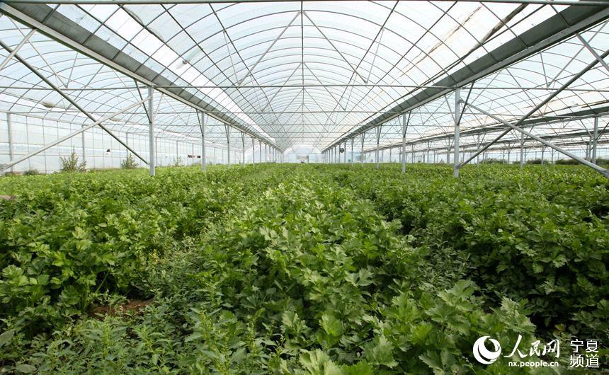 ƽ_hRRĴ弯wNֲ۲W w╔z