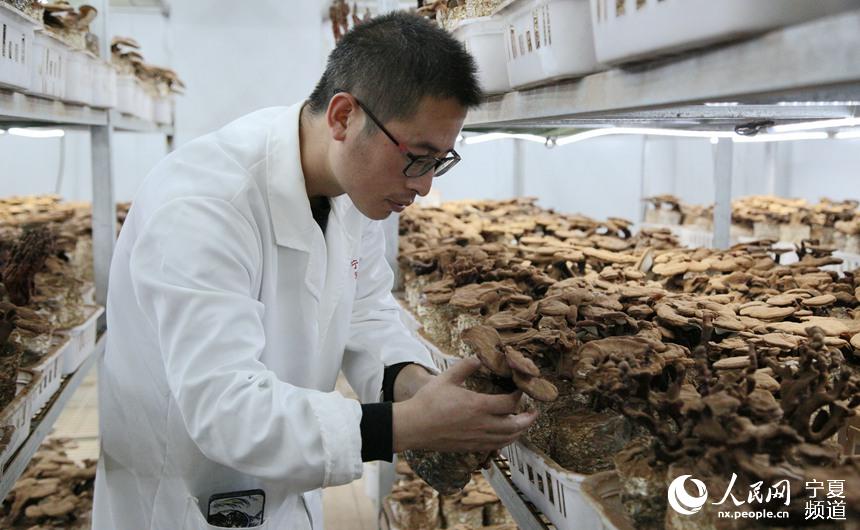 yą^ͬ´`֥@ˆTڲ鿴`֥LW w╔z