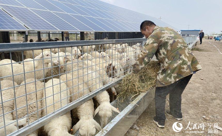 h}ԭ¡ùOʩĿյBW w╔z