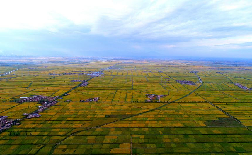 ƬĵvMeL箋z