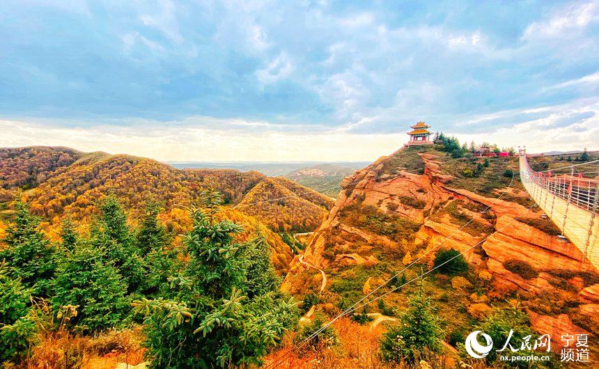 ԭʯկt֝uȾÏdD