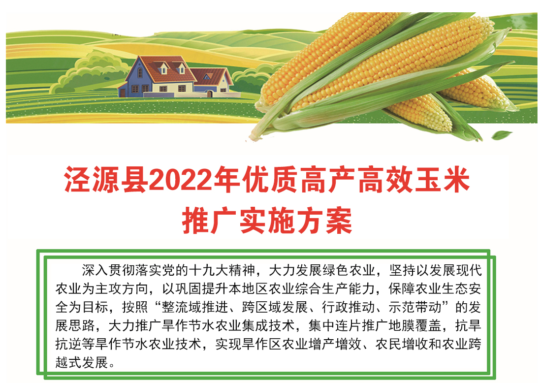 һDxԴh2022ꃞ|߮aЧƏVʩ