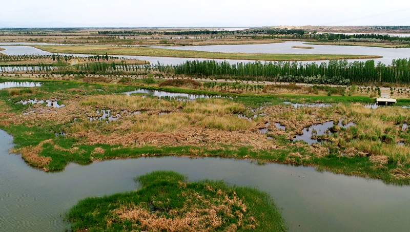 vScߔ̵ĺӰһȻVRz