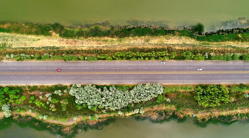 vScߔ̵ĺӰһȻVRz