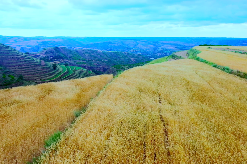 ĹԭꖿhӭSՕr|z