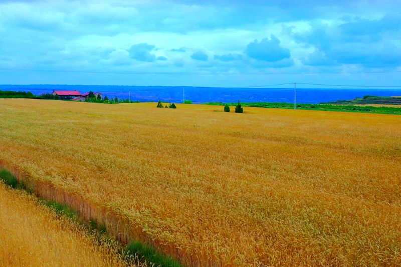 ĹԭꖿhӭSՕr|z