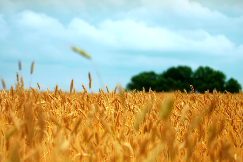 ĹԭꖿhӭSՕr|z