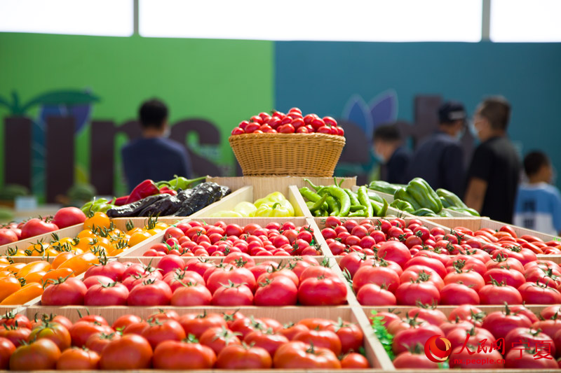 現場展出多個品種的西紅柿和辣椒。蘇暢攝