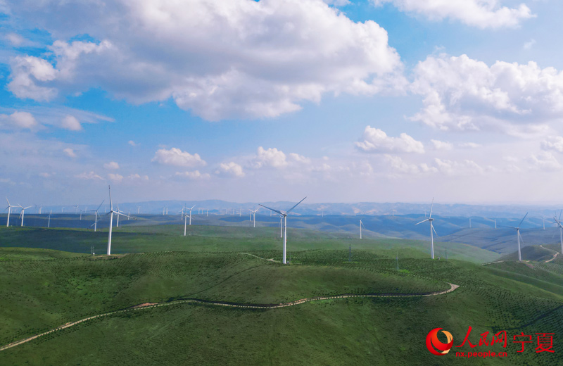 俯瞰南華山。 張曦月攝